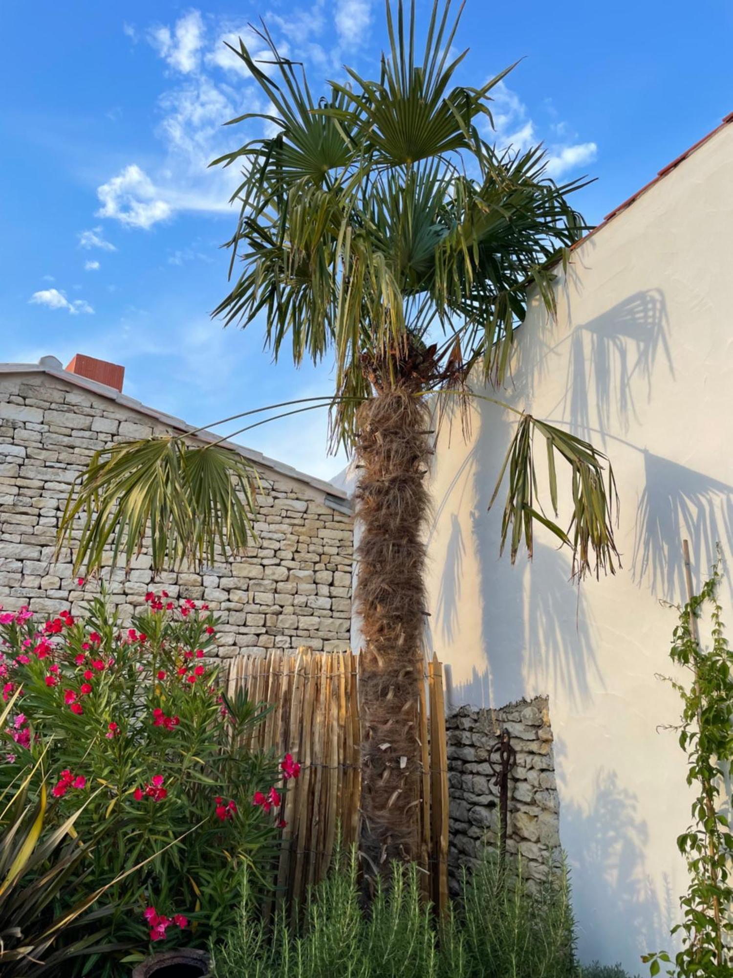 Maisons 322 - Maison La Flamboyante Le Bois-Plage-en-Re Luaran gambar